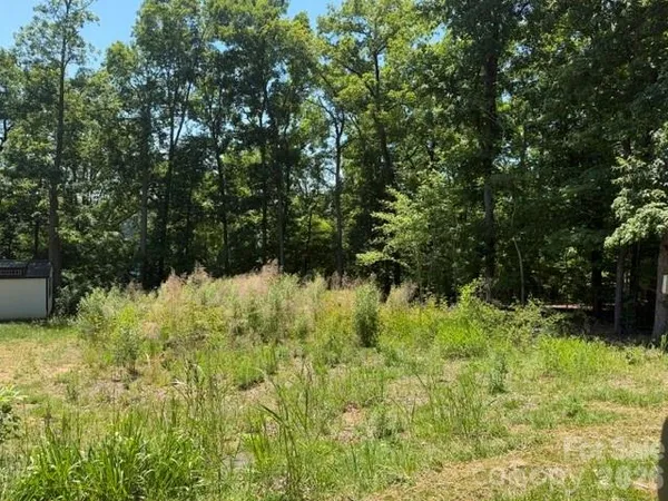 a view of a garden