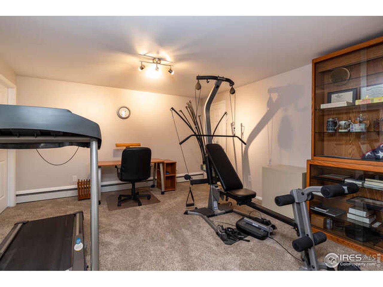 8829 Marathon Road Niwot, CO 80503 - Photo 17 of 33 This flex space/rec room has unfinished storage space ON BOTH SIDES