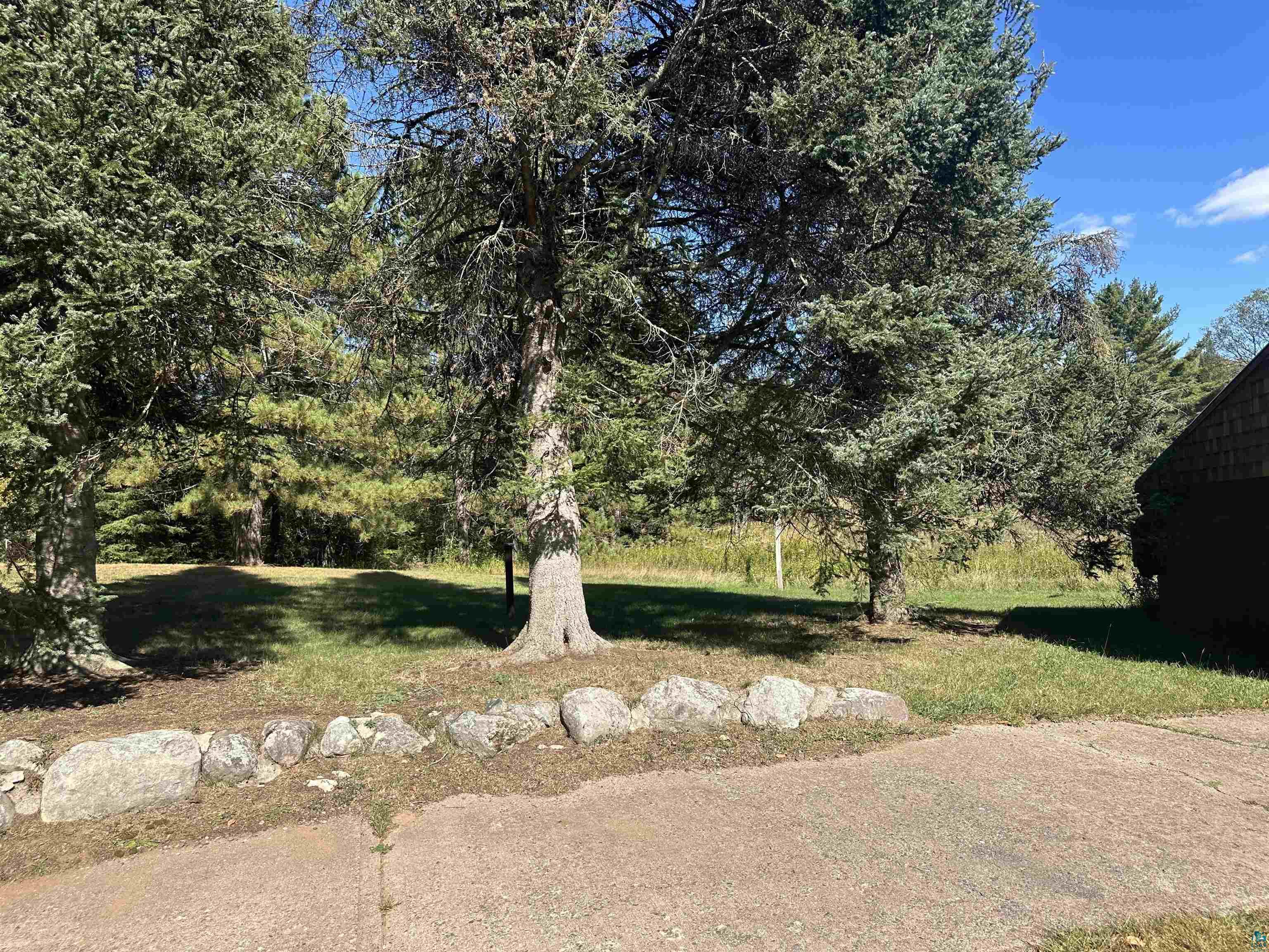 29020 Tulip Road Mellen, WI 54546 - Photo 11 of 12 View of yard