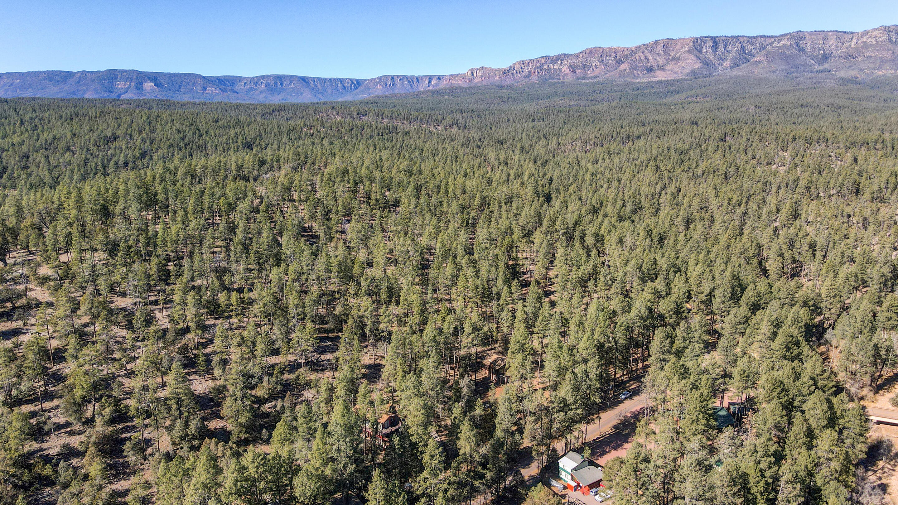 11180 Houston Mesa Road Payson, AZ 85541 - Photo 6 of 11