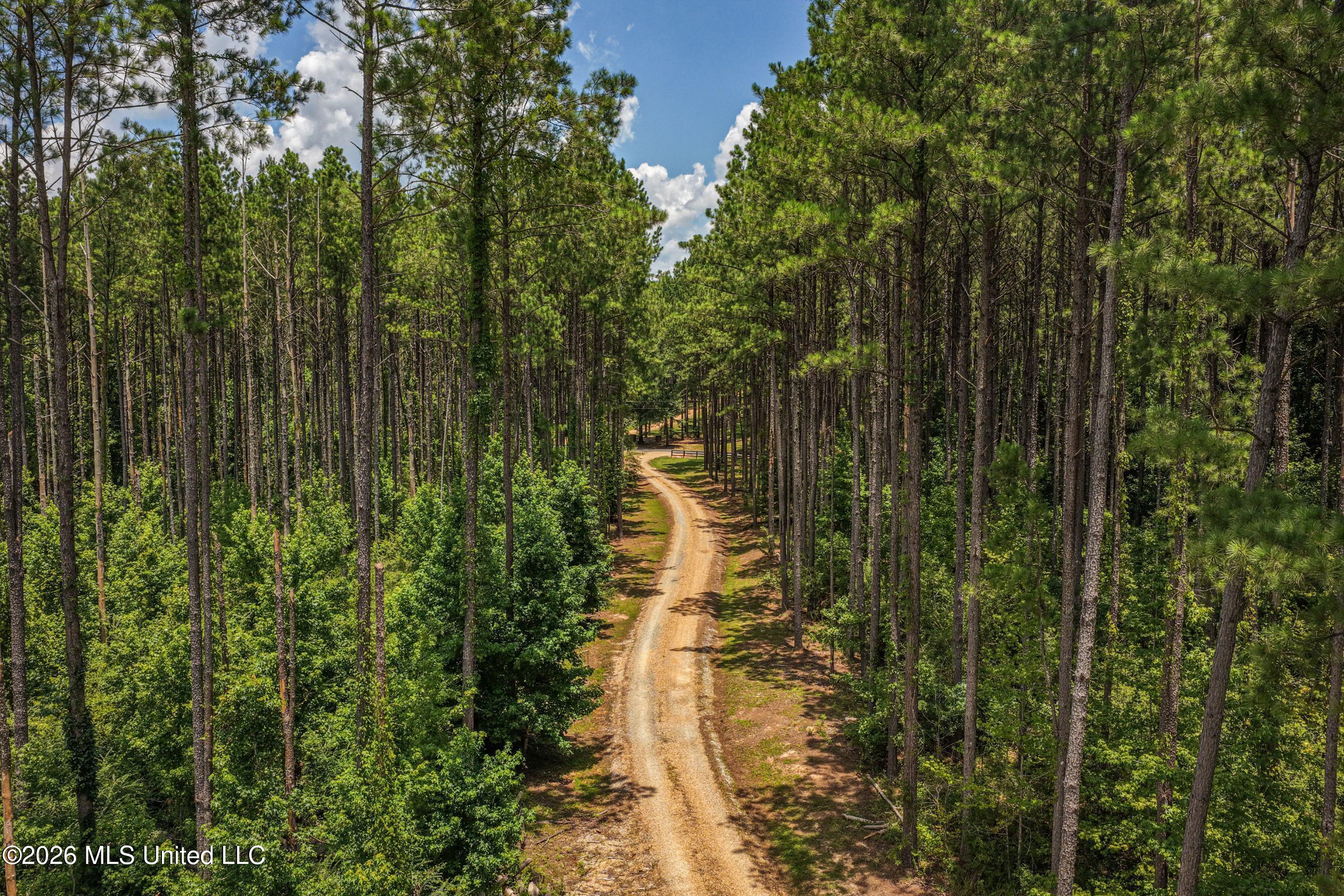 6929 Moak Road Summit, MS 39666 - Photo 4 of 52 DJI_20260708131050_0186_D