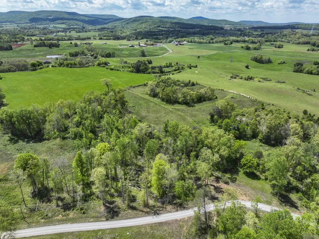 a view of a lush green hillside and houses