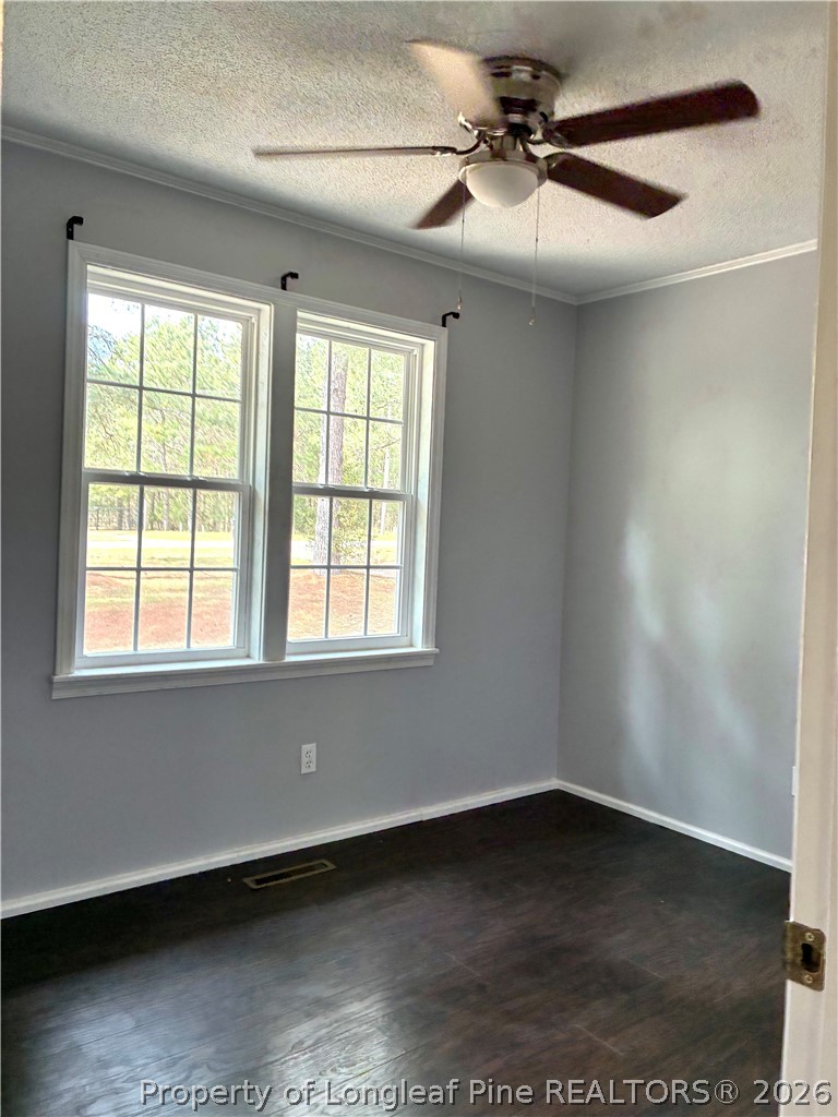 4973 Dowd Road West End, NC 27376 - Photo 31 of 33