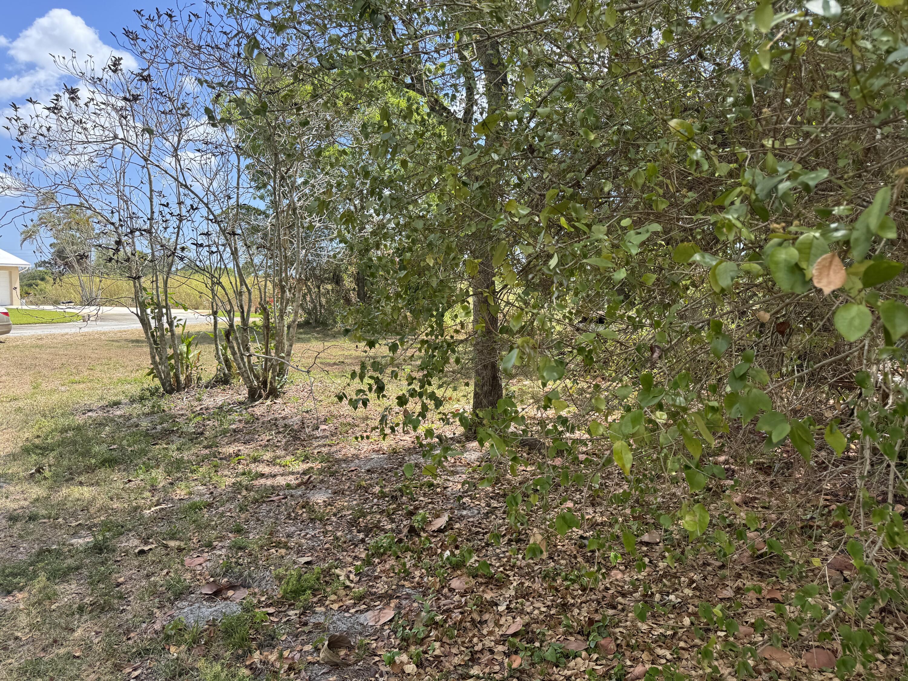 3358 Jog Road Lake Worth, FL 33467 - Photo 13 of 15 IMG_4619