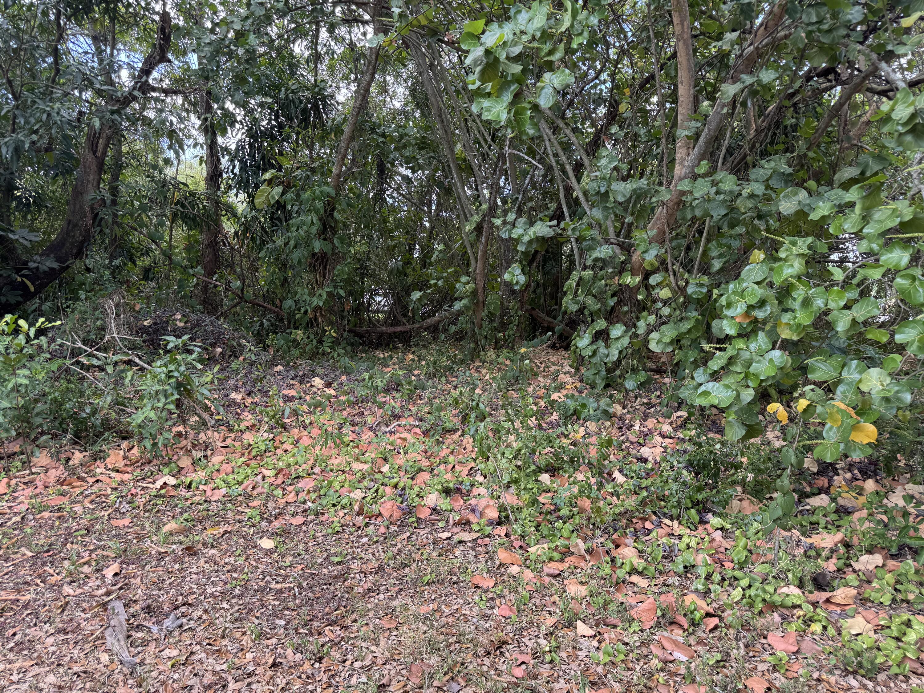 3358 Jog Road Lake Worth, FL 33467 - Photo 8 of 15 IMG_4613