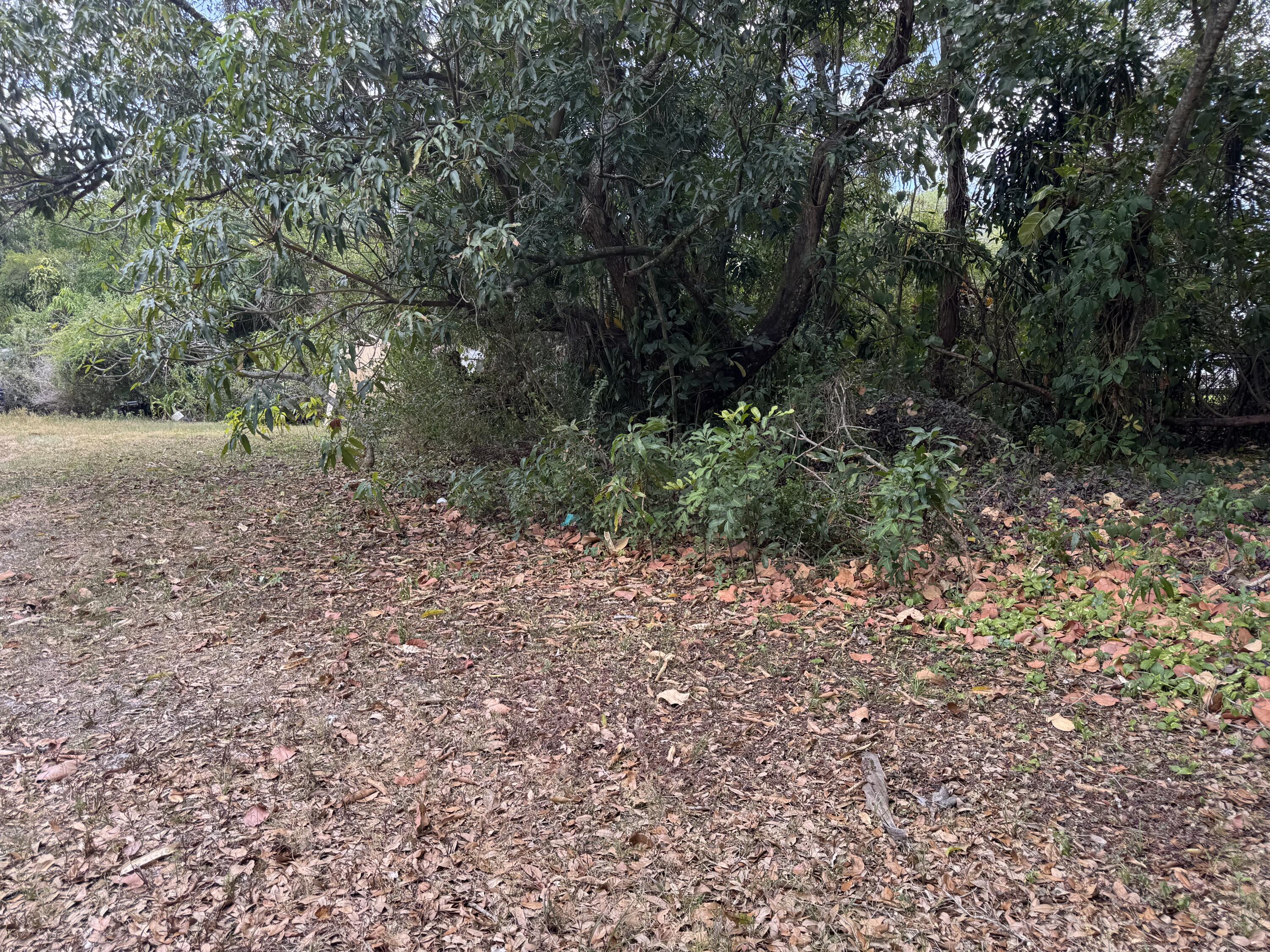 3358 Jog Road Lake Worth, FL 33467 - Photo 9 of 15 IMG_4614