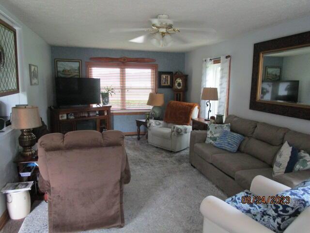 4252 Condit Road Sunbury, OH 43074 - Photo 9 of 53 family rm