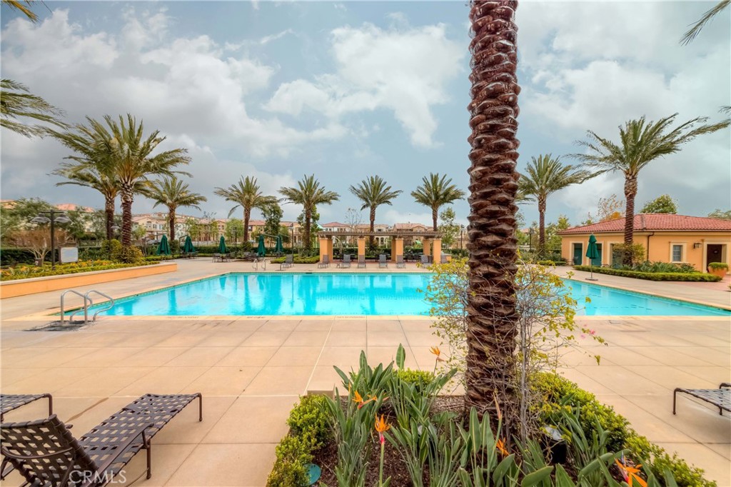 118 Walking Stick Irvine, CA 92618 - Photo 21 of 26 a view of swimming pool with a yard and palm trees