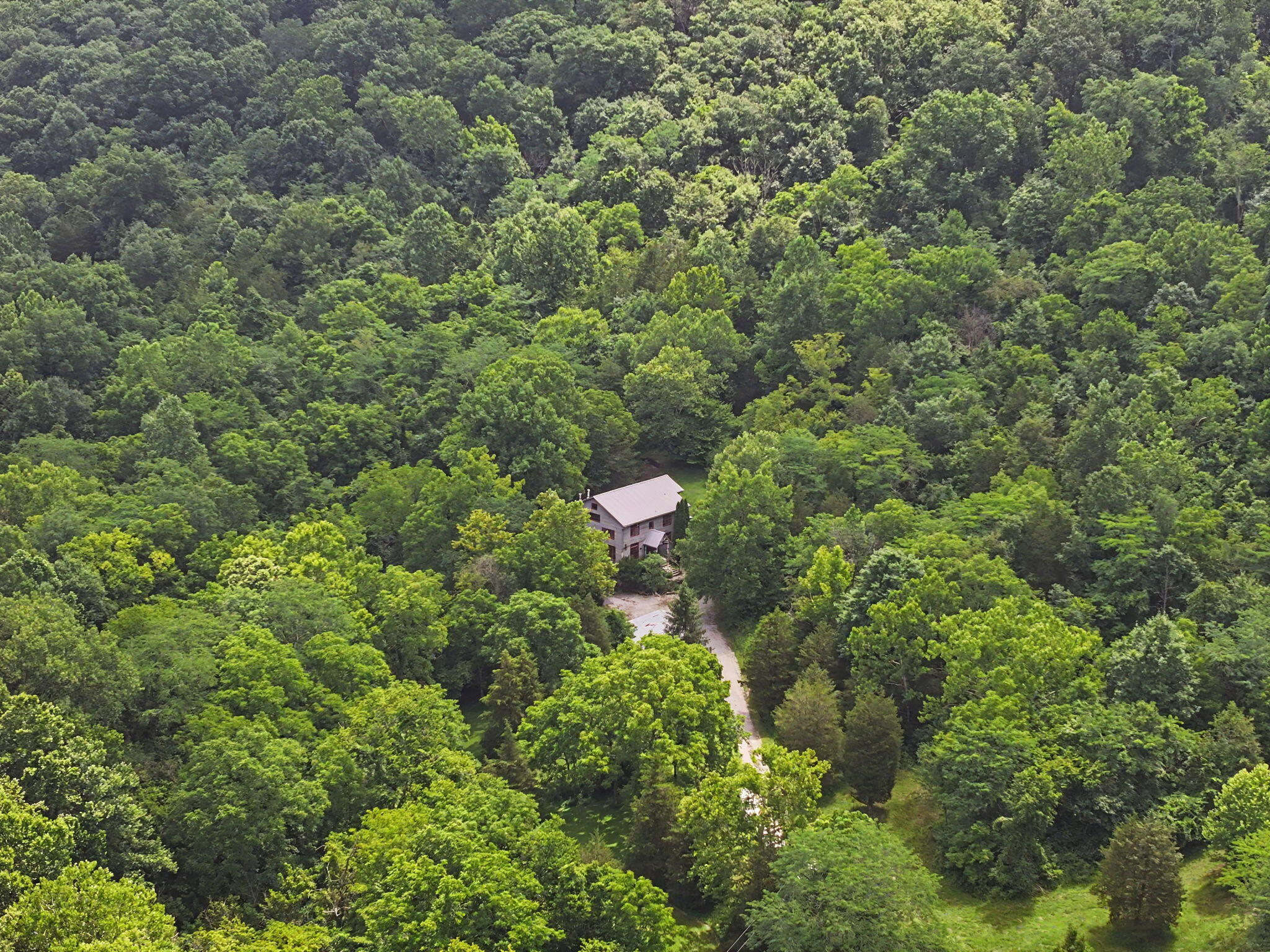 9766 Sullivan Road Union, KY 41091 - Photo 44 of 50 This property offers 22+ acres of possibility!
