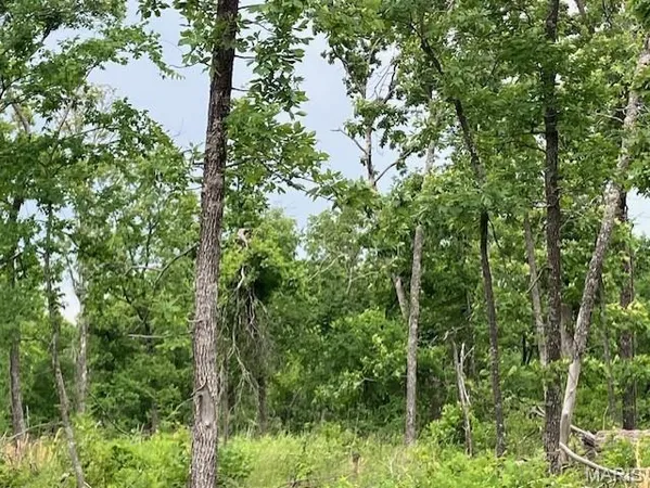 $52,995 | 233 Madison Cr, Fredericktown, MO 63645