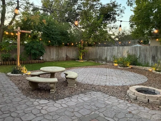a view of a backyard with plants and a tree