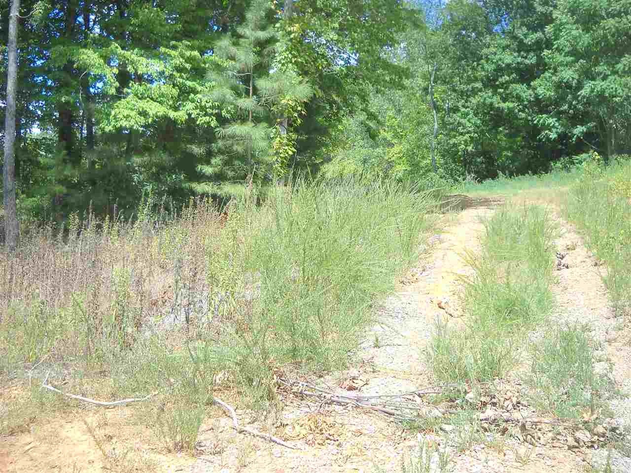 0 Geren Sub Lane Decatur, TN 37322 - Photo 2 of 8 Gallery Image 2