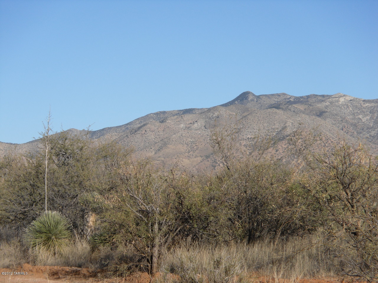 Tortoise Trail Street St. David, AZ 85630 - Photo 5 of 5