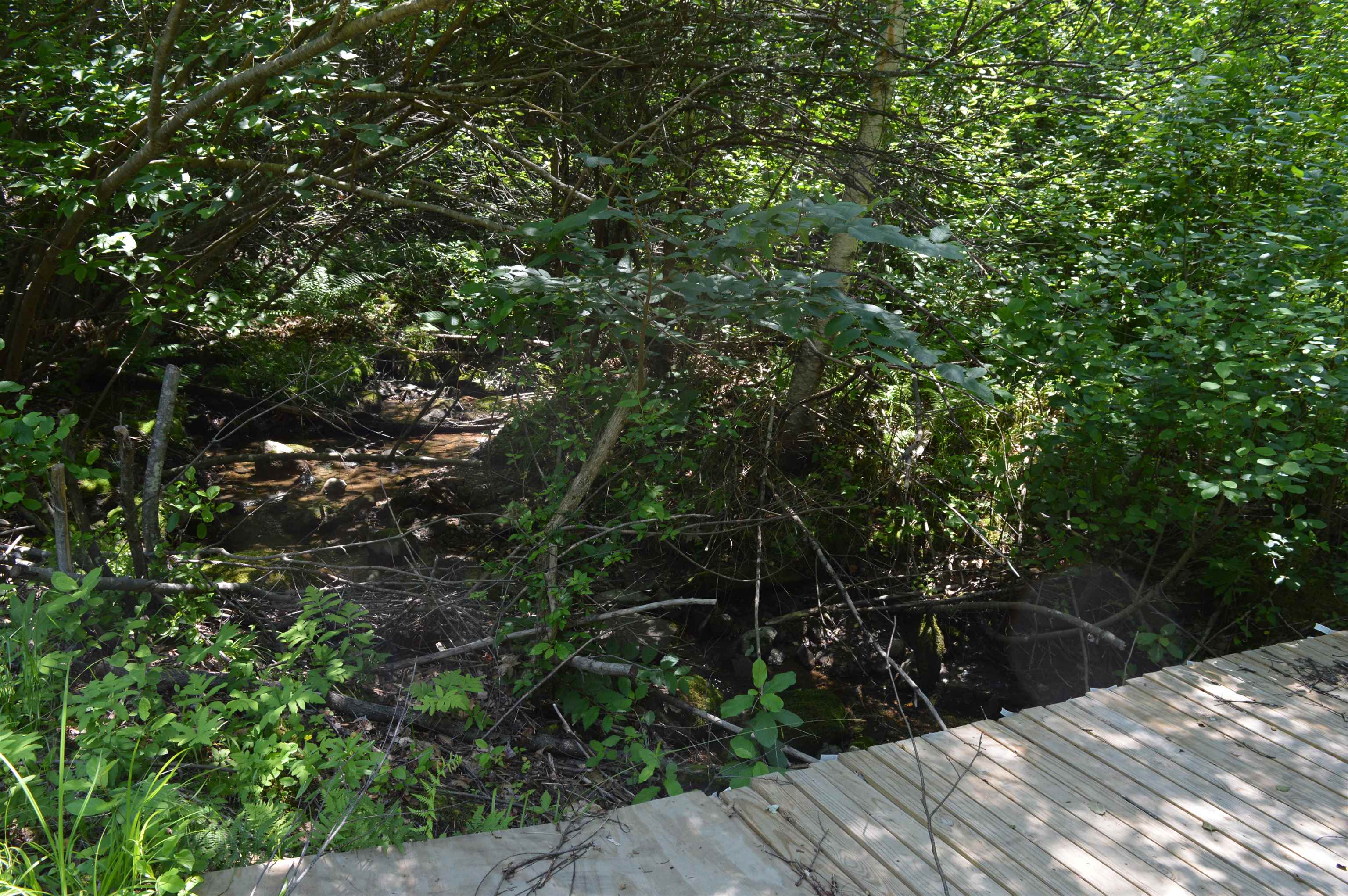 Bradford Road Newport, NH 03773 - Photo 15 of 17