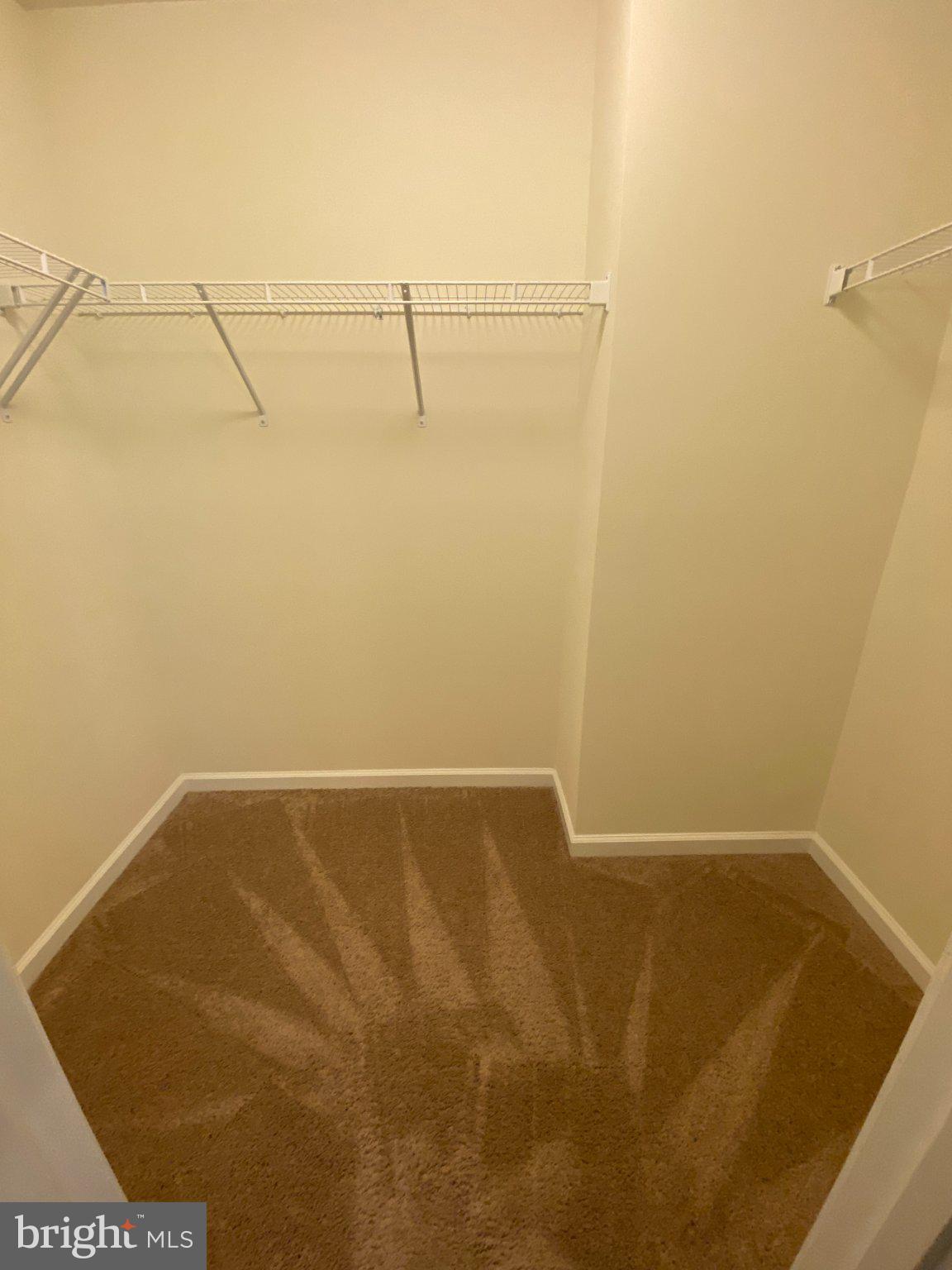 697 Rivanna Run Falling Waters, WV 25419 - Photo 33 of 44 a view of small space