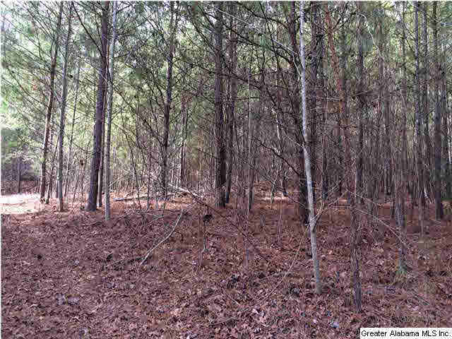 734 Valley Grove Road, Unit 15 4 ACR Remlap, AL 35133 - Photo 5 of 32