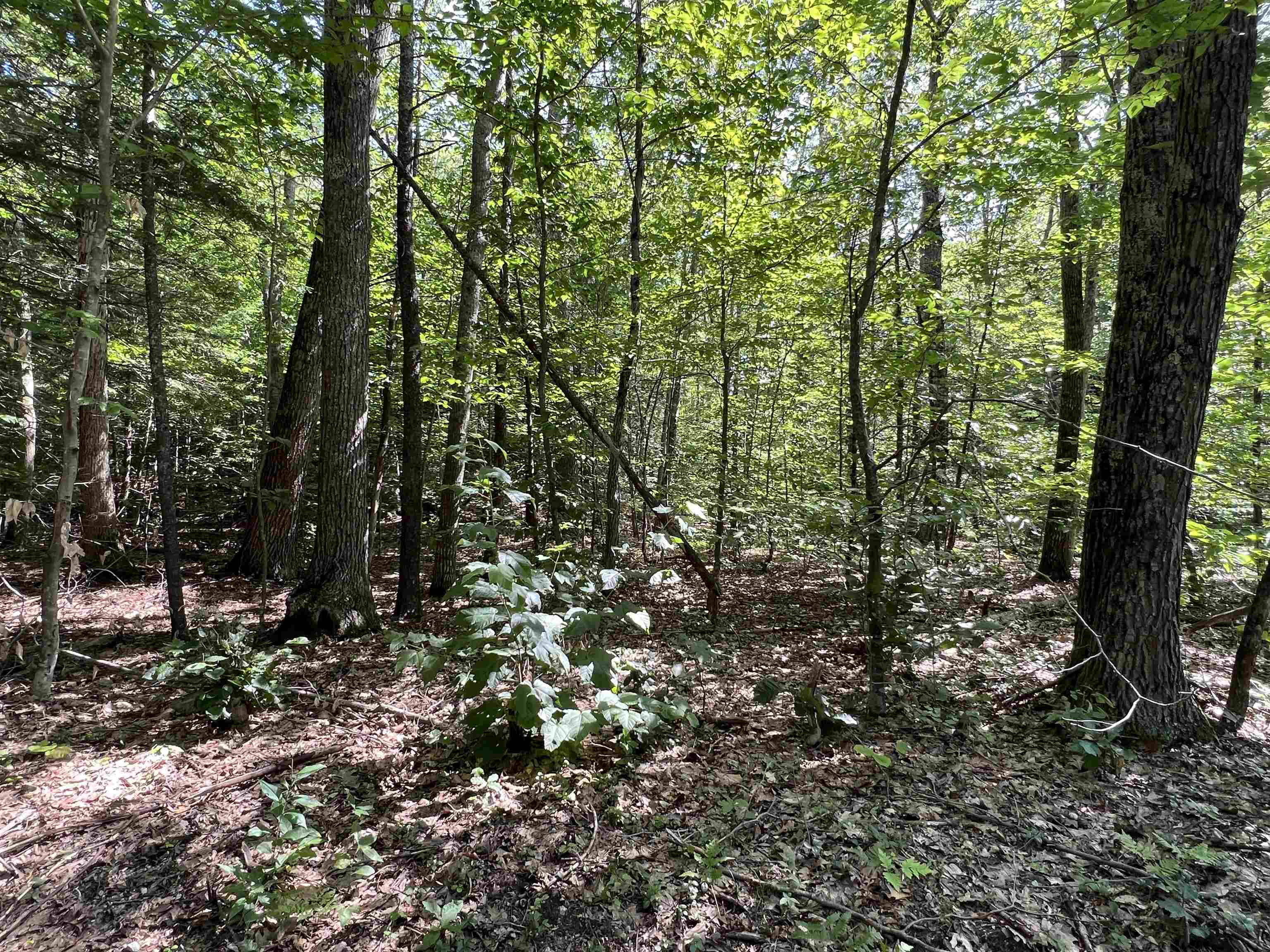 Lot 167 Deer Meadow Road, Unit 167 Webster, NH 03303 - Photo 1 of 8