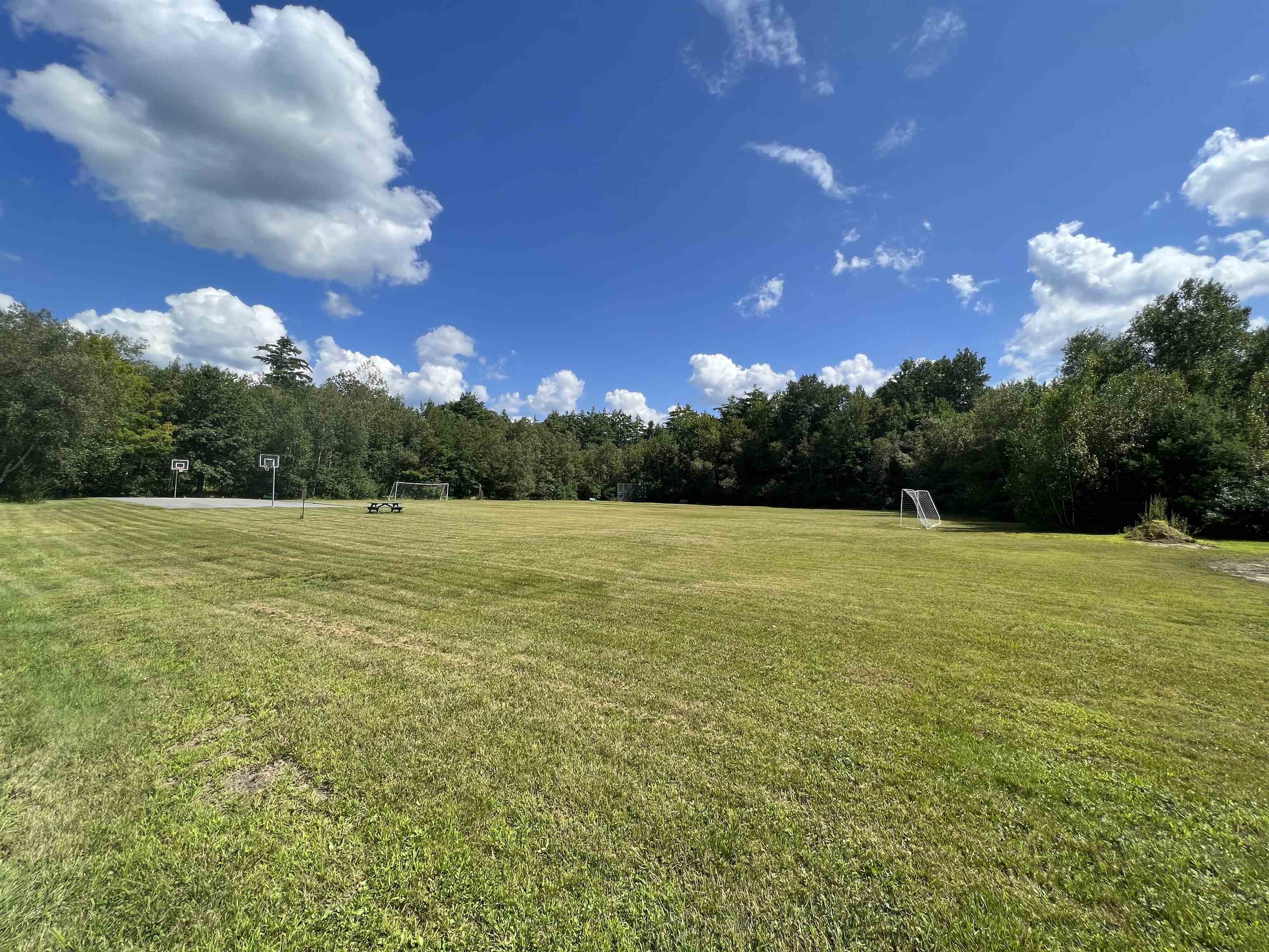 Lot 167 Deer Meadow Road, Unit 167 Webster, NH 03303 - Photo 3 of 8