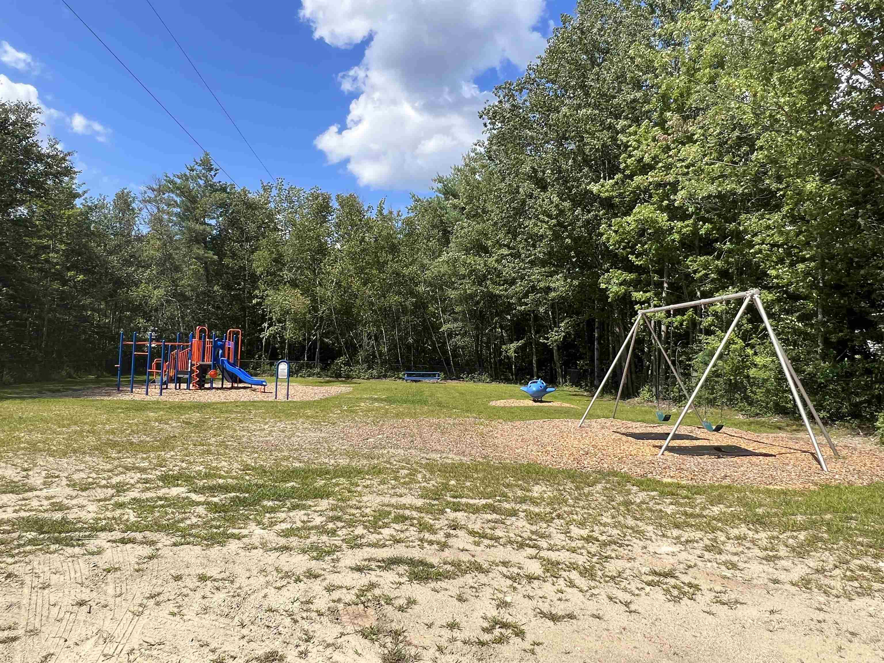 Lot 167 Deer Meadow Road, Unit 167 Webster, NH 03303 - Photo 4 of 8
