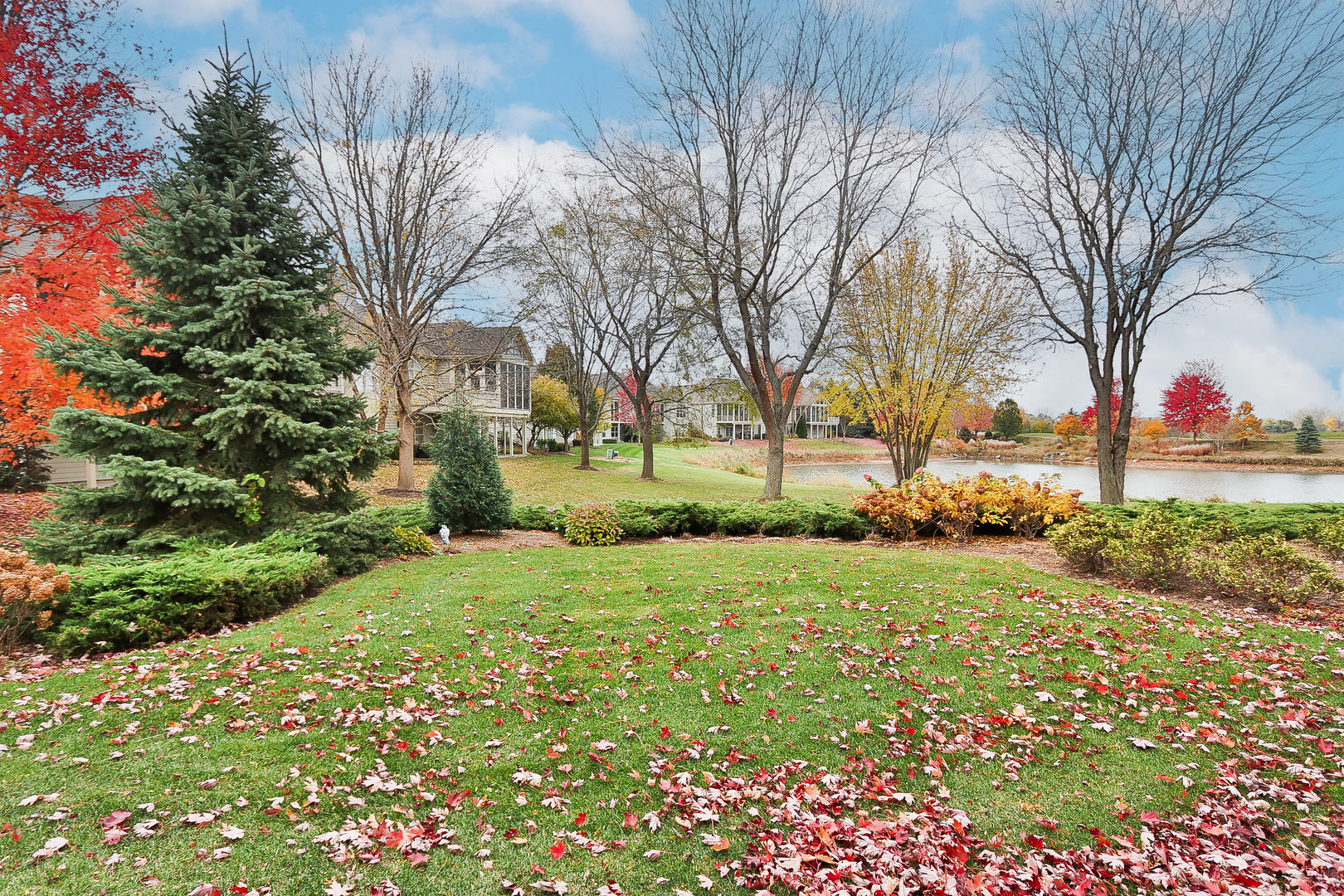 6 Sugar Maple Court Lake In The Hills, IL 60156 - Photo 35 of 35 a view of road with large trees