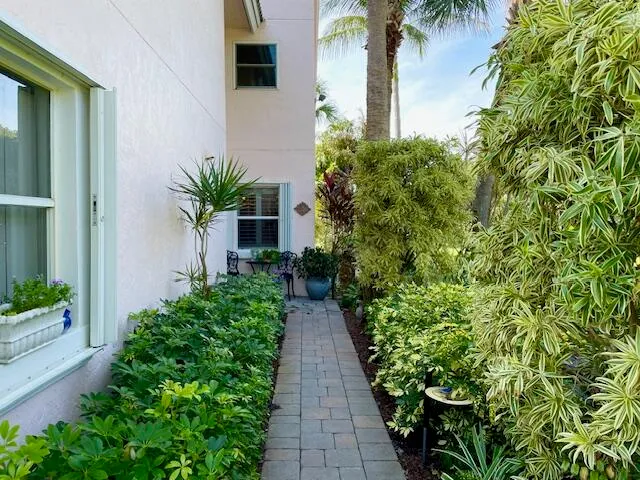 a view of a pathway with plants