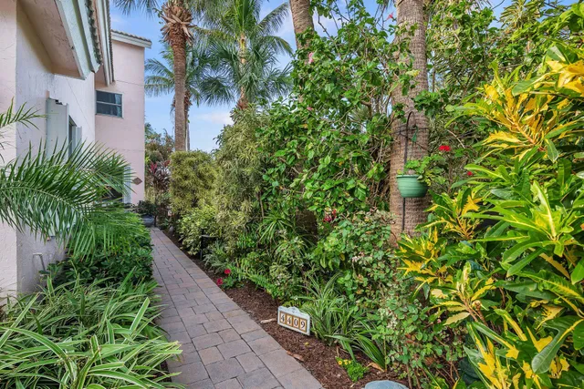 an outdoor space with plants