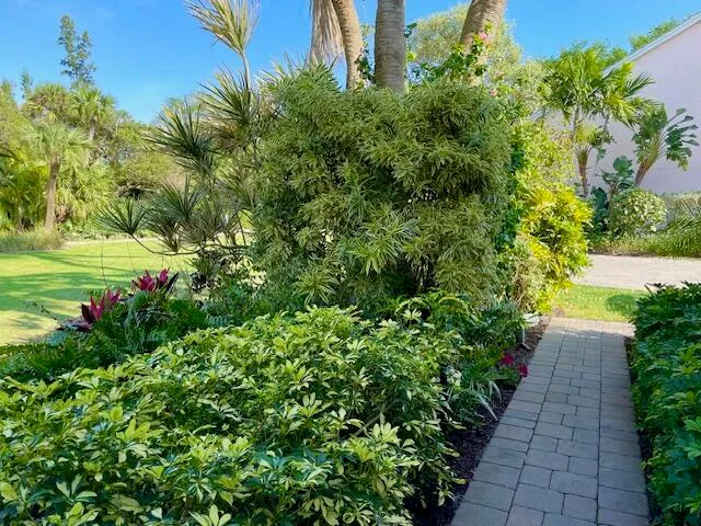 a view of a garden with pathway