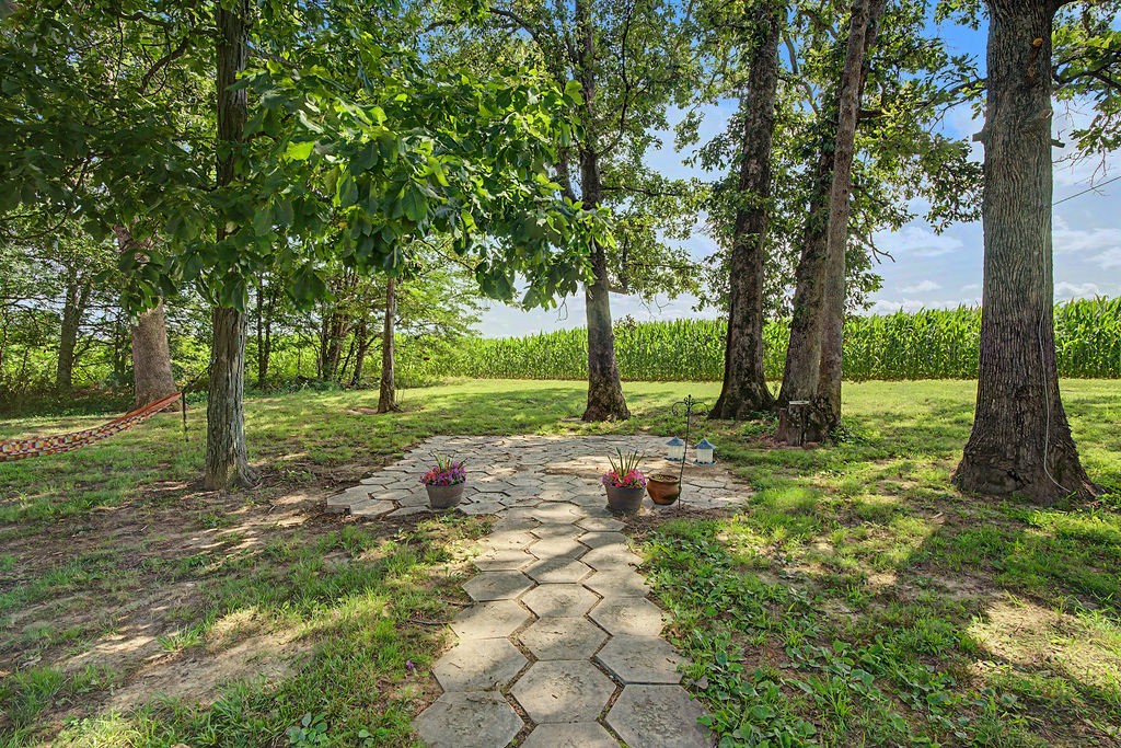3281 Mt Zoar Road Hopkinsville, KY 42240 - Photo 80 of 89