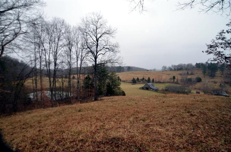 1709 Macedonia Road Irvine, KY 40336 - Photo 64 of 87 Imagine the fields full of hay and the k