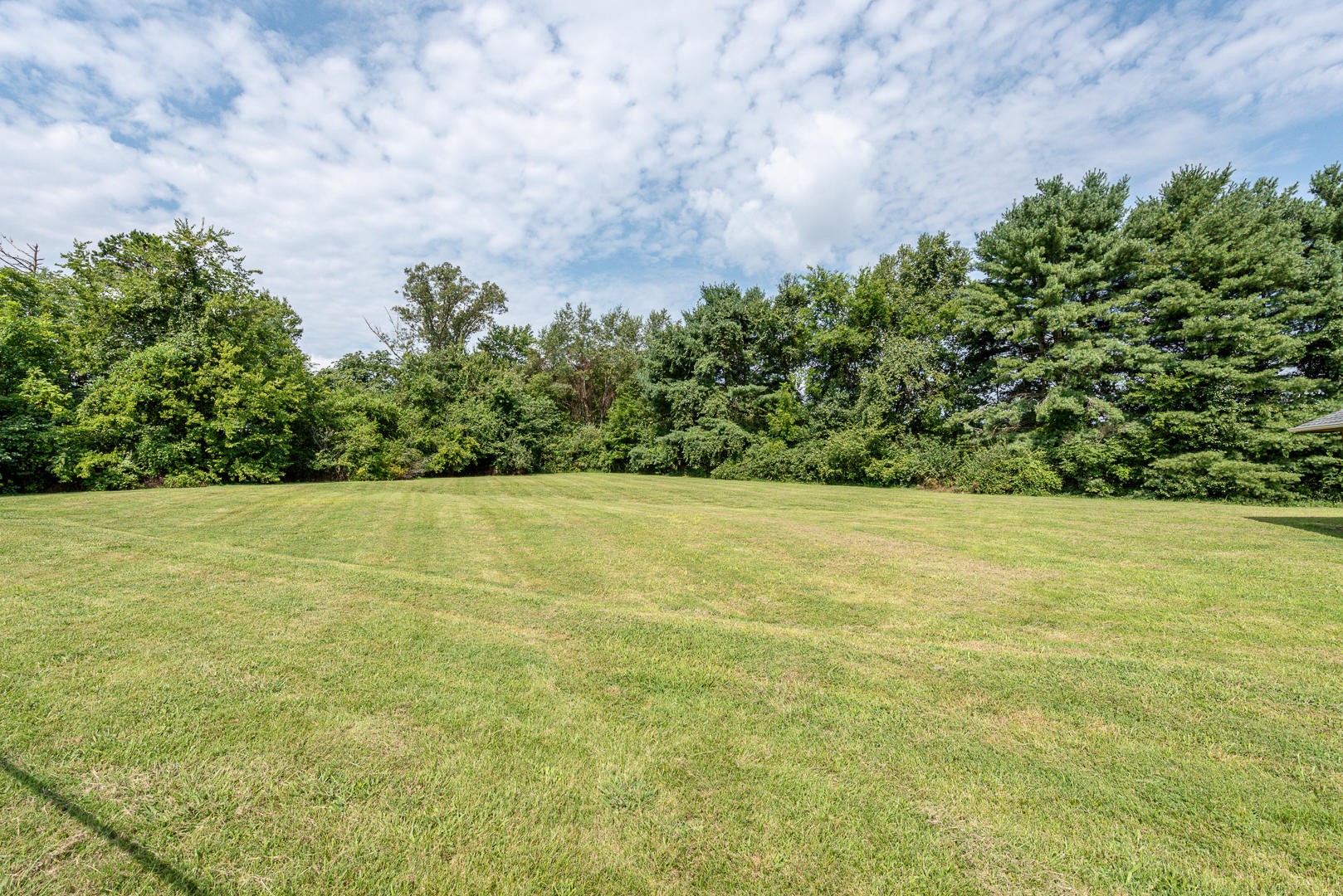 436 County Farm Road Friendsville, TN 37737 - Photo 4 of 40 Gallery Image 4