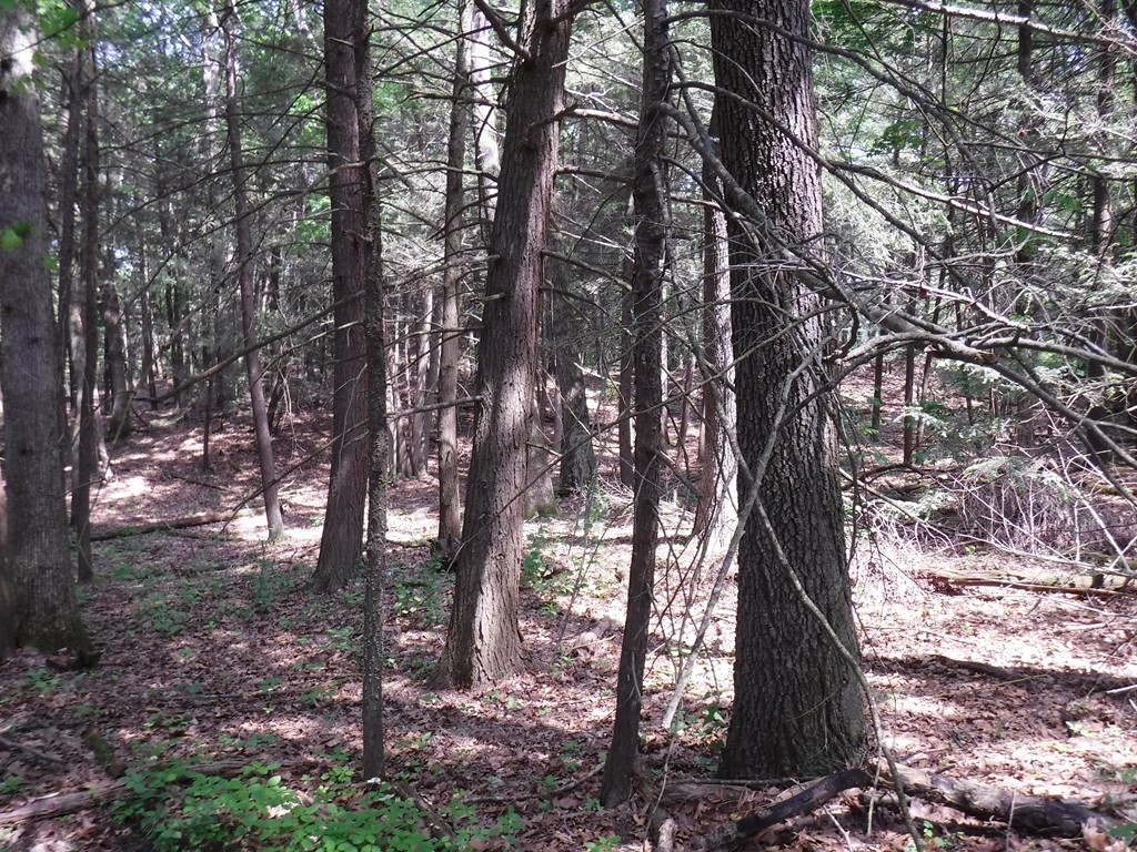 53 A New Boston Road Sturbridge, MA 01566 - Photo 3 of 7