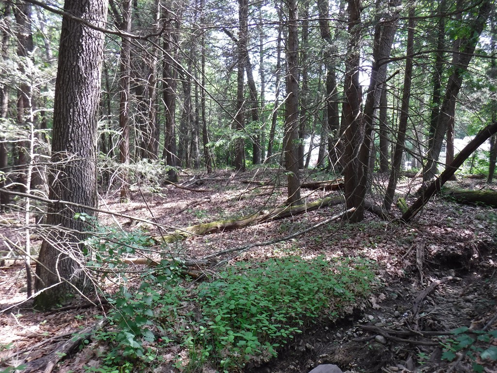 53 A New Boston Road Sturbridge, MA 01566 - Photo 4 of 7