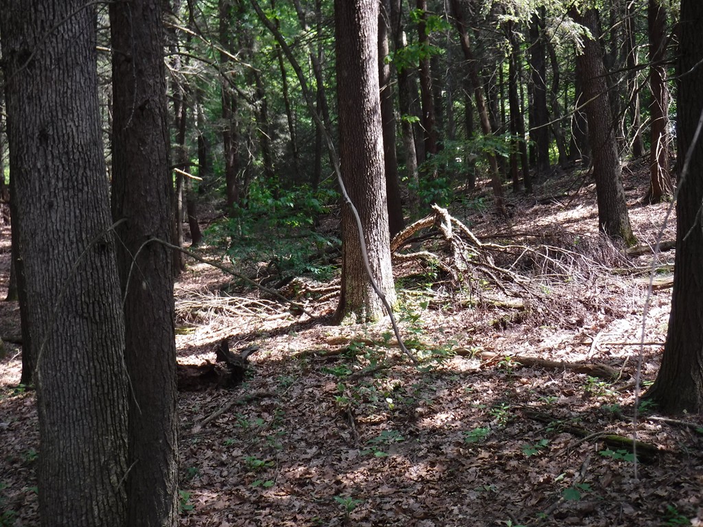53 A New Boston Road Sturbridge, MA 01566 - Photo 6 of 7