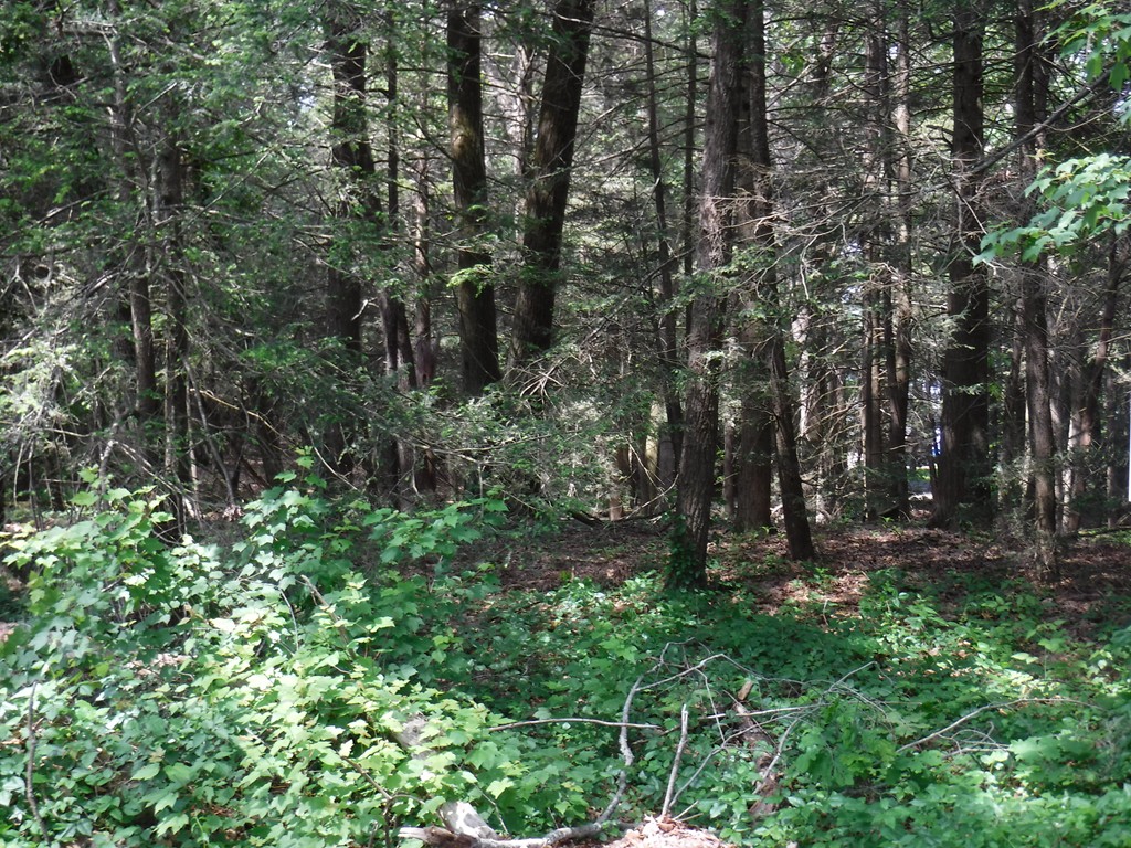 53 A New Boston Road Sturbridge, MA 01566 - Photo 7 of 7