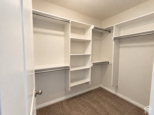11689 South Shadow View Lane Draper, UT 84020 - Photo 9 of 25 Walk-in closet featuring built-in shelving, multiple hanging rods, and carpet flooring