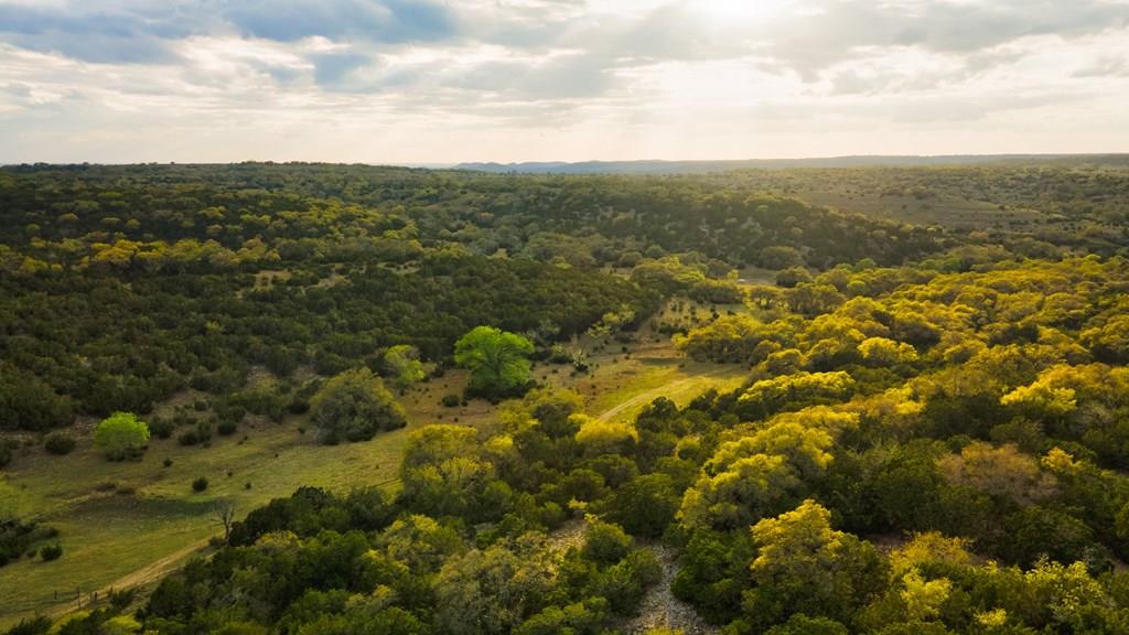 346 Crabapple Road Blanco, TX 78606 - Photo 1 of 20 Main View