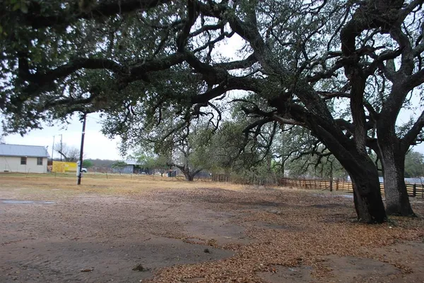 a view of outdoor space with tree s