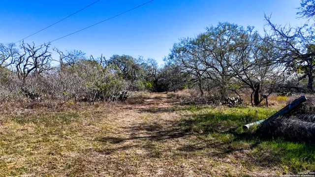 $330,000 | 74 County Road 454, Stockdale, TX 78160