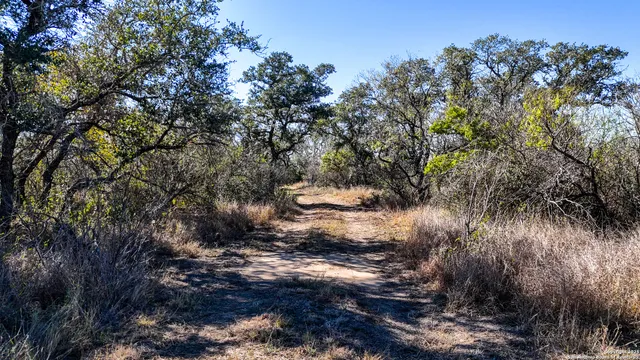 $330,000 | 74 County Road 454, Stockdale, TX 78160