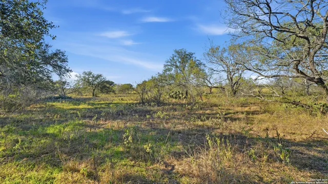 $330,000 | 74 County Road 454, Stockdale, TX 78160