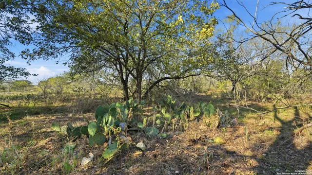 $330,000 | 74 County Road 454, Stockdale, TX 78160