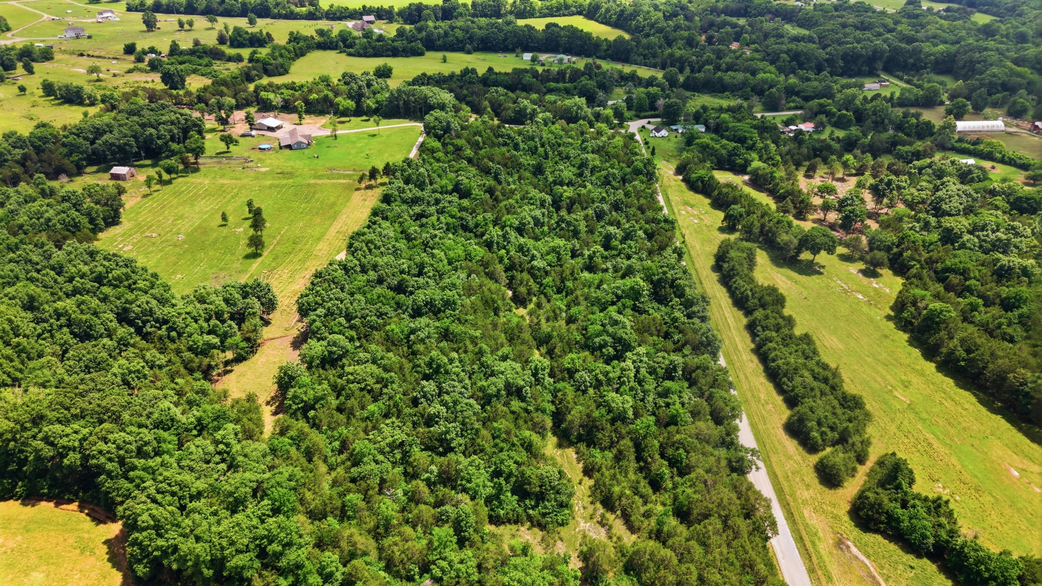 0 Bob Cheek Road Lewisburg, TN 37091 - Photo 11 of 14