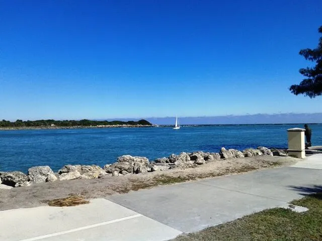 a view of a swimming pool with a patio