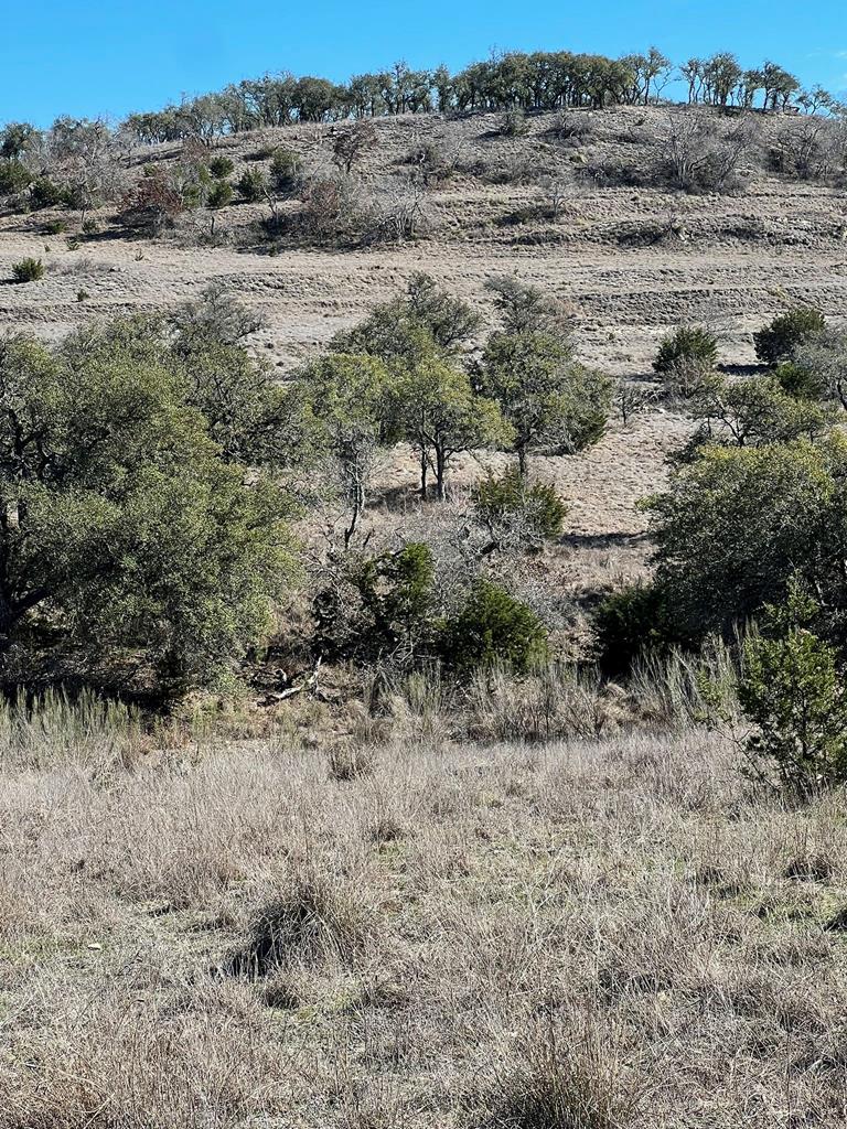 a view of a dry field