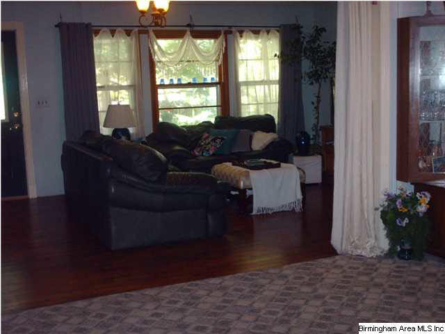 306 Janney Road Ohatchee, AL 36271 - Photo 3 of 31