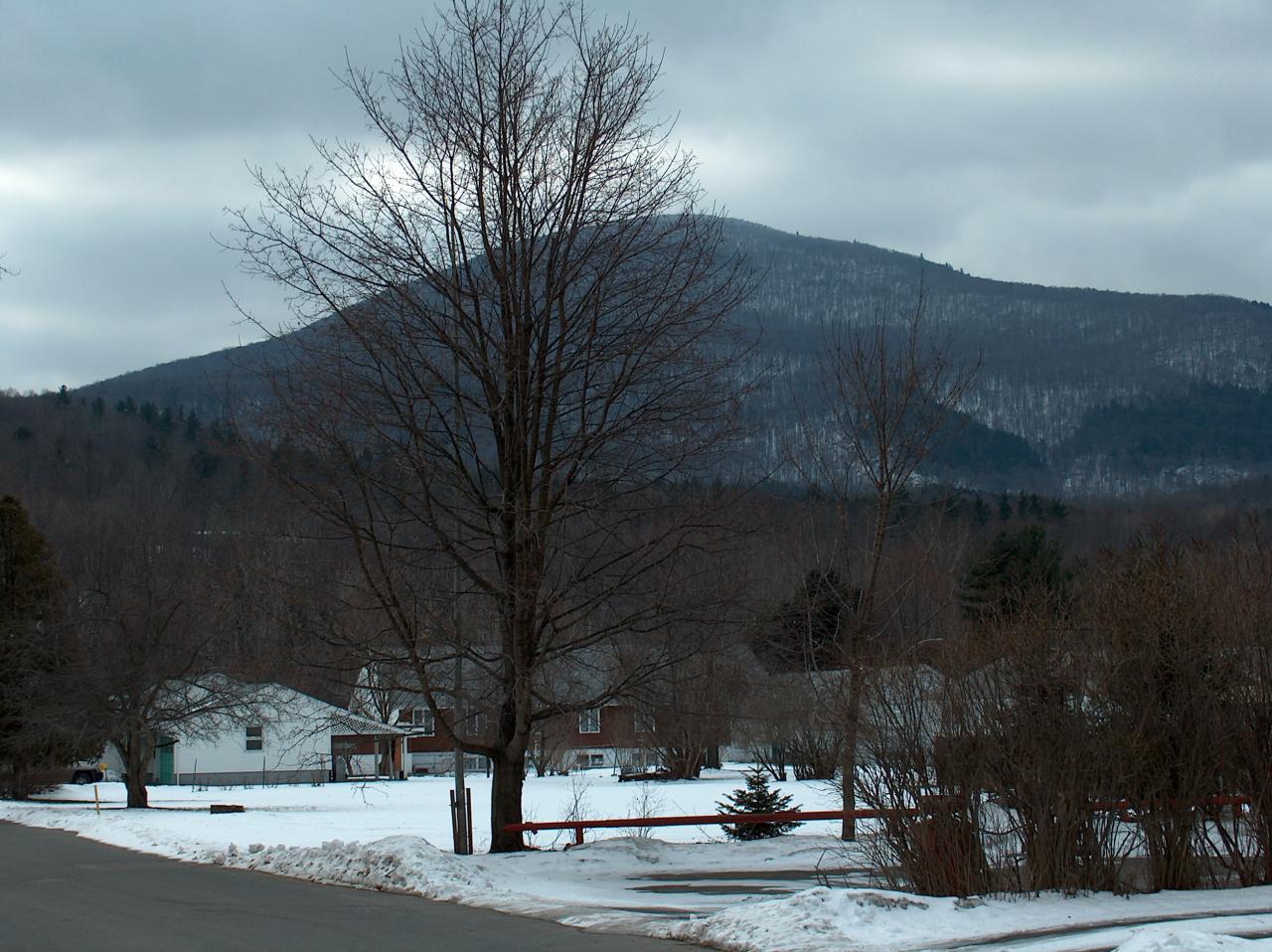 206 State Road North Adams, MA 01247 - Photo 3 of 4 Mountain views