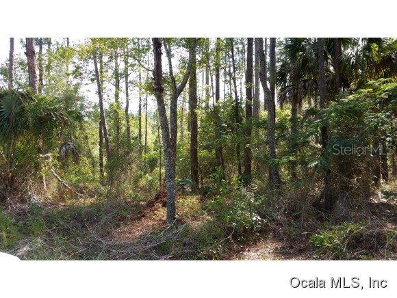 Lot 13 Lot Road Dunnellon, FL 34431 - Photo 1 of 1 Primary Photo