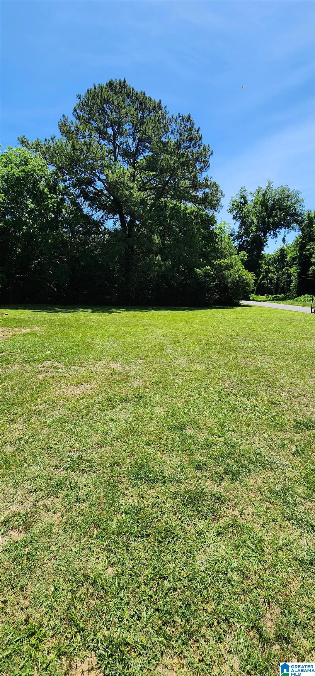 114 Bow Range Road Guntersville, AL 35976 - Photo 4 of 23