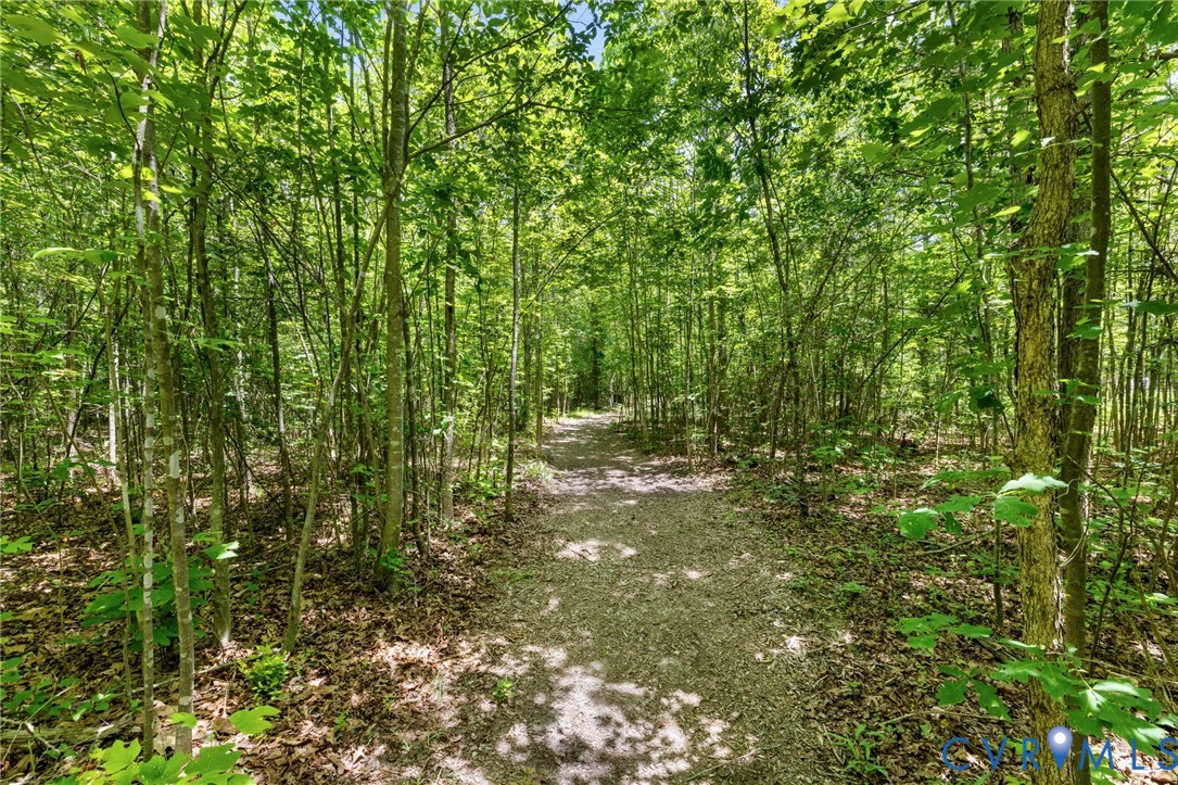 3269 Lowry Road Columbia, VA 23038 - Photo 41 of 57 cleared riding trails throughout the property