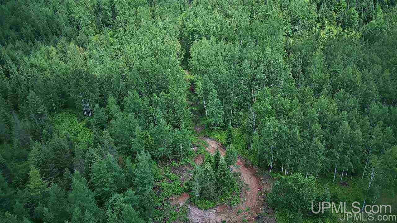 Tbd Off Nowack Road, Unit 1 Powers, MI 49874 - Photo 4 of 32